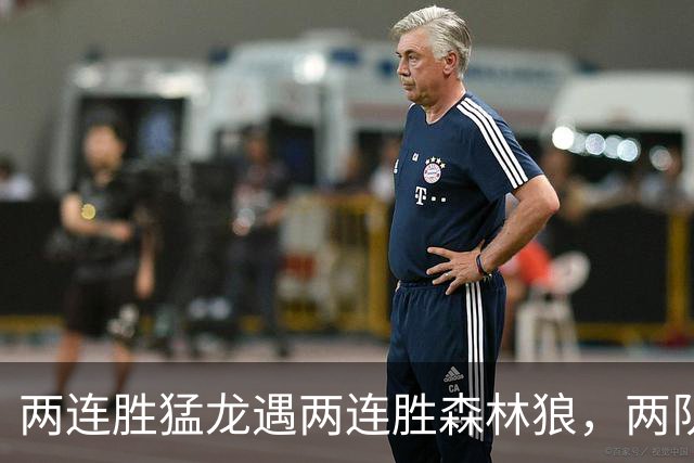 两连胜猛龙遇两连胜森林狼，两队都想保住不败金身
