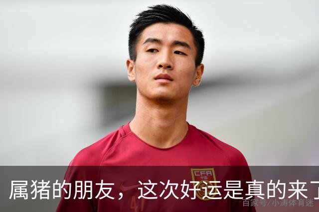 属猪的朋友，这次好运是真的来了