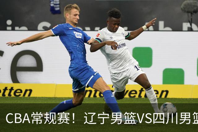 CBA常规赛！辽宁男篮VS四川男篮，赵继伟助辽篮力争主场首胜，库珀领取总冠军戒指，段睿骐正赛首次面对老东家